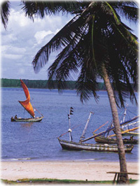 Litoral Maranhão