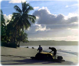 Praia Alagoas
